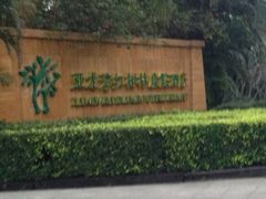 iphone_upload_pic-三亚亚龙湾红树林度假酒店