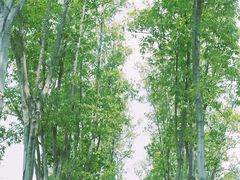 -公园前(地铁站)