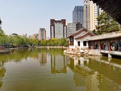-团结湖公园