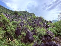 -玉石林风景区