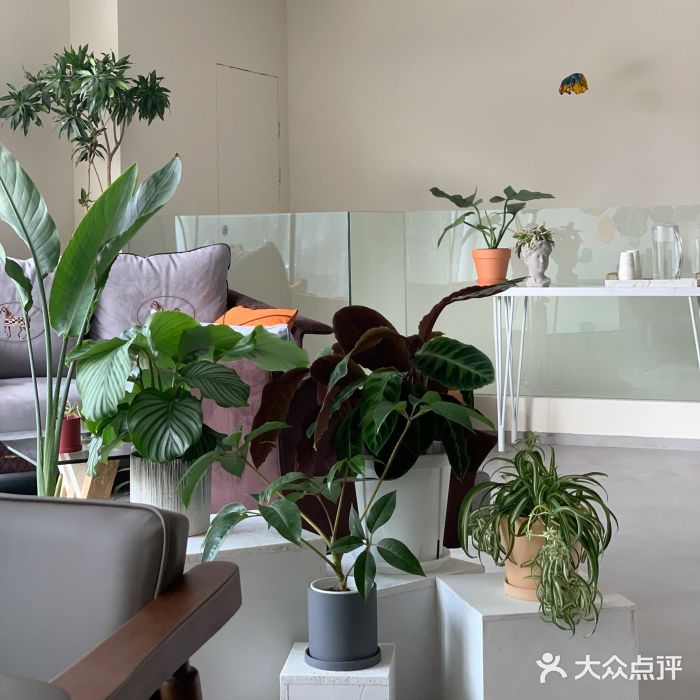 Lao+ Space图片