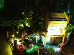 -恐龙探索乐园(磁器口店)