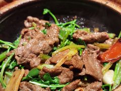 啫啫牛肉-煲煲好(朝阳门店)