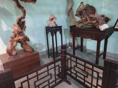 -东南花都花博园