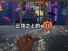 -平安金融中心云际观光层