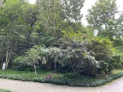 -杭州植物园