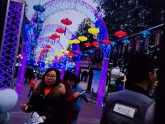 -国色天乡三期陆地乐园