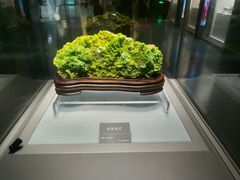 -安徽省地质博物馆