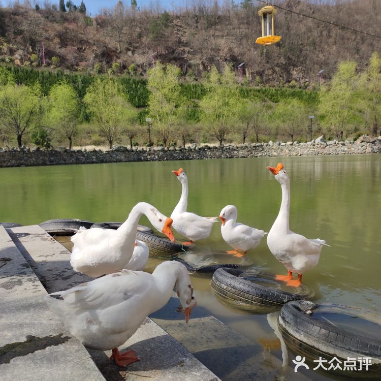 村里的旅游去处，小小村落，民风淳朴