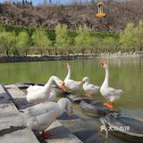 村里的旅游去处，小小村落，民风淳朴