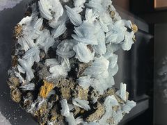 -湖南省地质博物馆