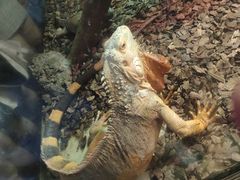 -海合安武汉极地海洋公园