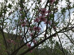 -龙门涧景区
