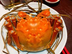 阳澄湖大闸蟹-火福·天湖阁大闸蟹博物馆主题餐厅(浅水湾店)