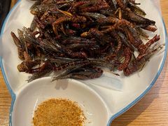-鸽子刘铁锅炖鱼(劲松店)