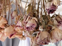 -吃饼人西餐(南开店)