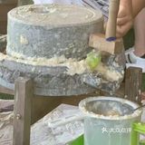 六一去哪里！深圳首家屋顶动植物乐园[加油][加油]