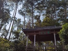 -千岛湖东南湖区