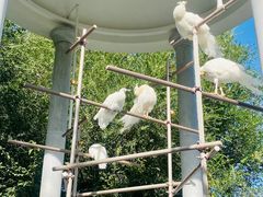 -北京野生动物园