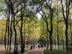 -艾溪湖湿地公园