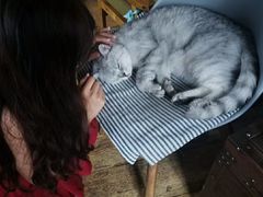 -不舍昼夜咖啡馆