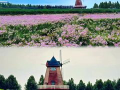 -君乐宝优致牧场