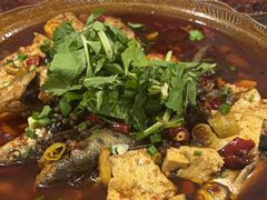 -明升萝卜汤