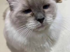 -藏猫猫咖啡主题馆(中央大道店)