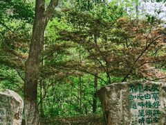 -敬亭山风景名胜区