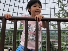 -枫香湖儿童公园