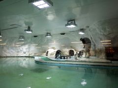 -北戴河圣蓝海洋公园