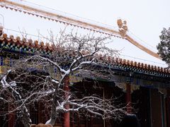 -故宫博物院(故宫)