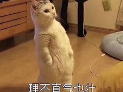 -金逸影城(大悦城IMAX激光店)