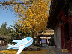 -法门文化景区