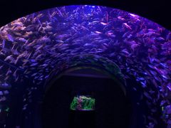 -成都浩海立方海洋公园