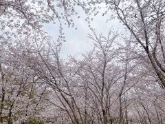 -堤角公园