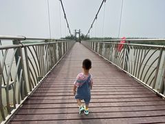 -西青郊野公园