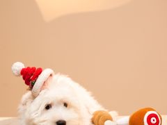 -肆俩肖像STUDIO(宝山万达店)