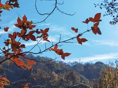 -广州市石门国家森林公园