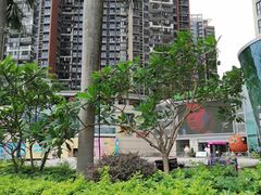 -深圳龙华星河COCO City(民治店)