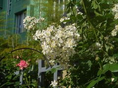 -杭州观成实验学校