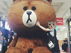 -line friends(明洞旗舰店)