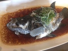 -宝燕壹号(徐汇店)