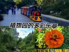 -国家植物园