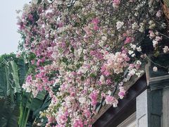 -深圳国际园林花卉博览园