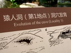 -北京周口店北京人遗址博物馆