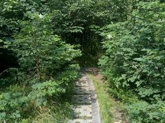 -雁鸣湖休闲公园-停车场