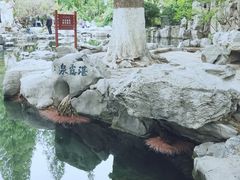 -趵突泉景区