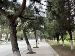 -东北大学(南湖校区)