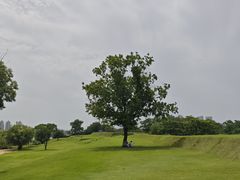 -盘龙城国家考古遗址公园